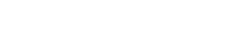 light logo